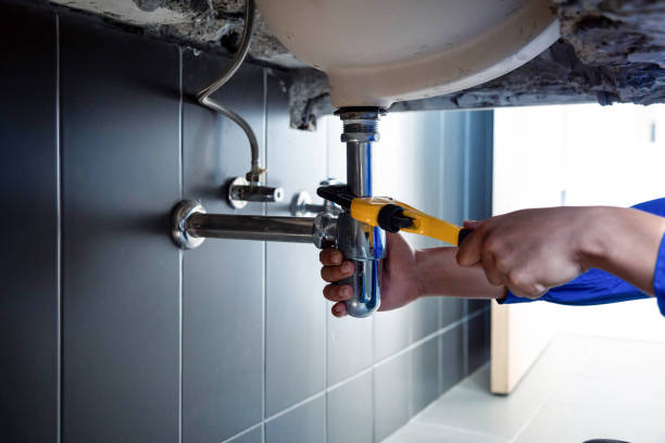 Professional Plumbing services in Bayshore Gardens, FL